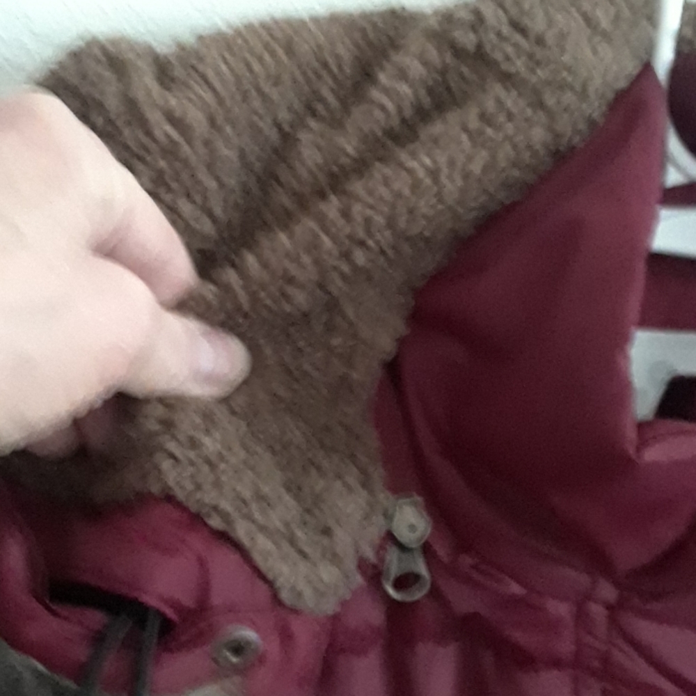 Coat - Picture 3 of 7